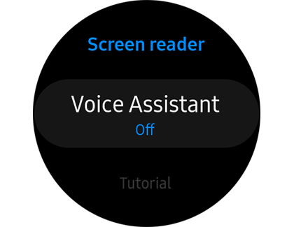 Voice Assistant option off under Screen reader Voice Assistant option off under Screen reader