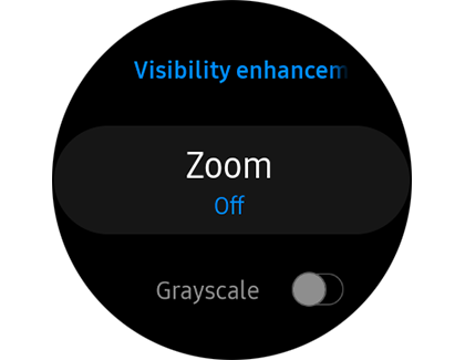 Zoom option off in Visibility enhancements settings Zoom option off in Visibility enhancements settings