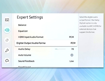 Expert Settings with Digital Output Audio Format highlighted