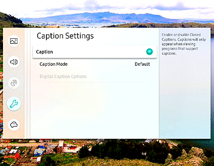 Caption Settings