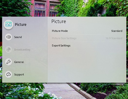 Picture settings menu with Picture Mode, Picture Size, and Expert Settings