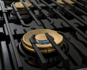 48 Inch Dual Fuel Steam Range