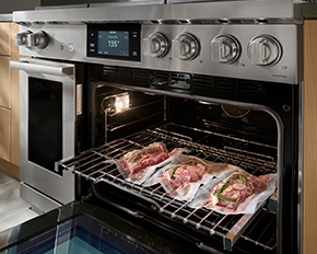 48 Inch Gas Range