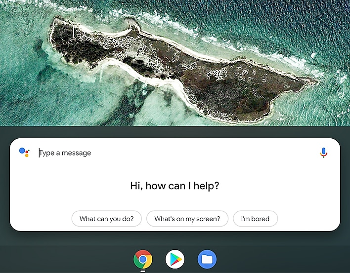 The Google Assistant