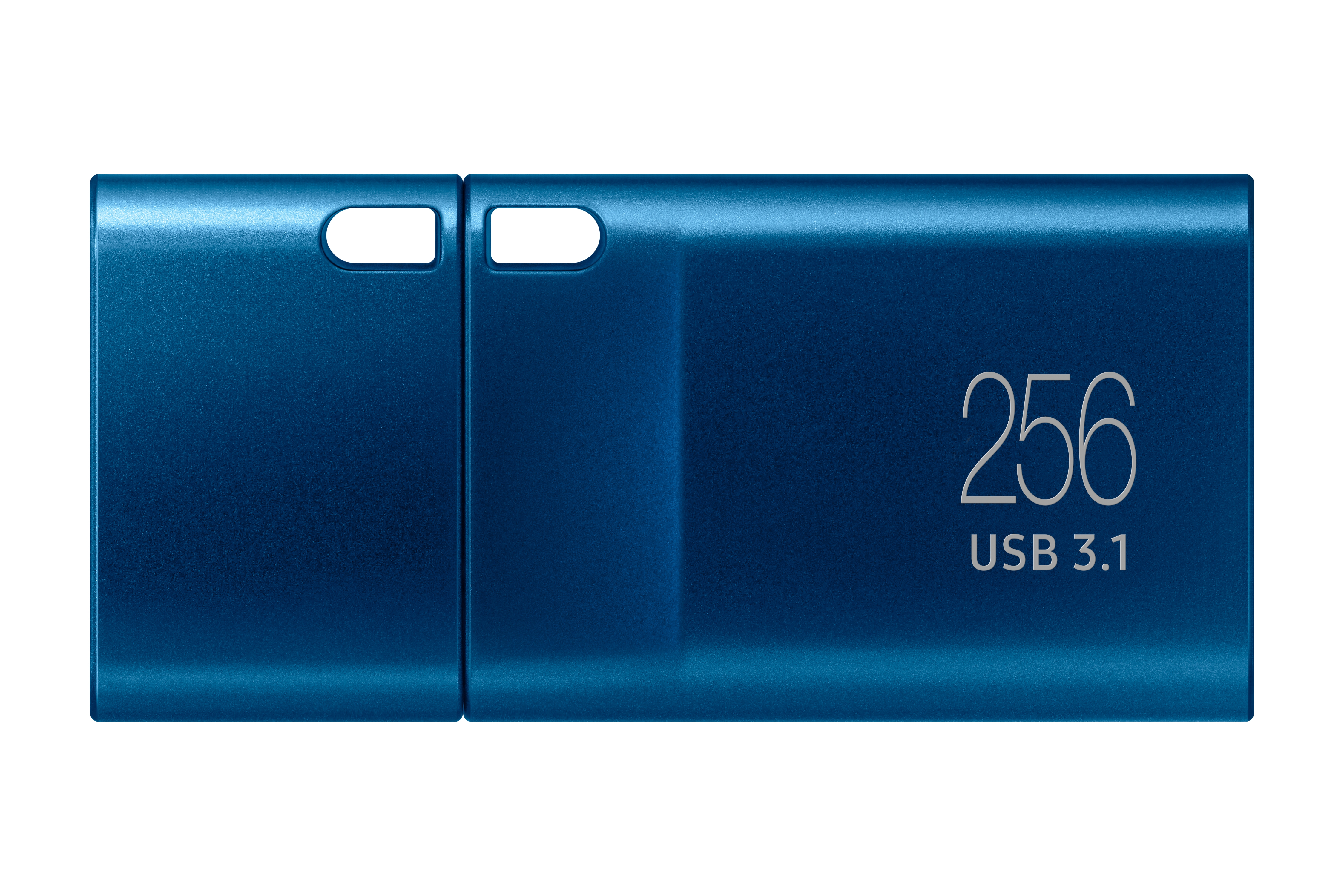 Samsung Clé USB Type-C™ (MUF-256DA/APC), 256 Go, 400 Mo/s en Lecture, 110  Mo/s en écriture, USB 3.1 Flash Drive pour Ordinateurs Portables, tablettes