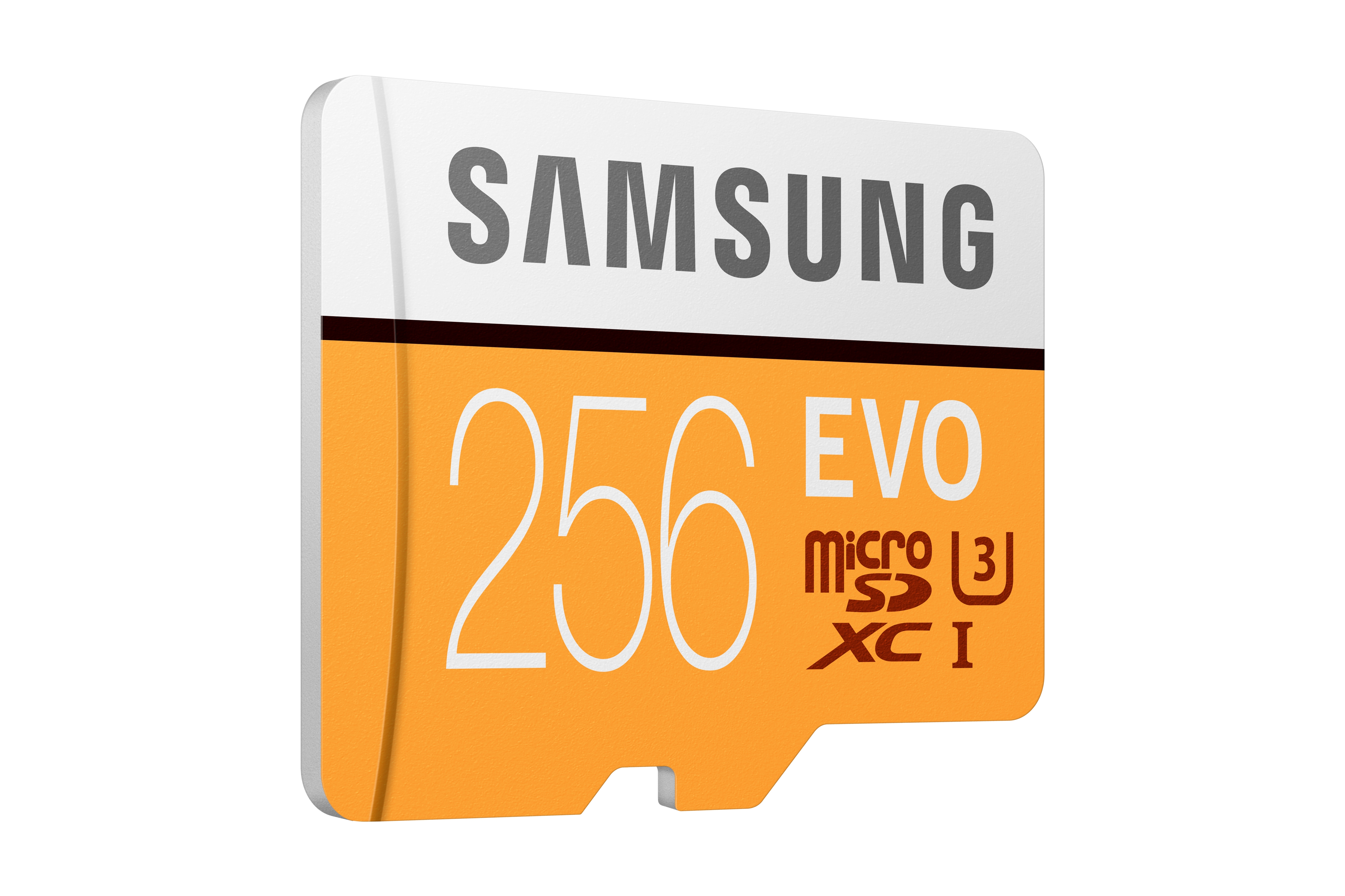 Thumbnail image of EVO microSD Memory Card 256GB