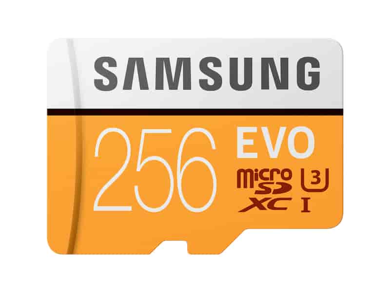 EVO microSDXC Memory Card 256GB