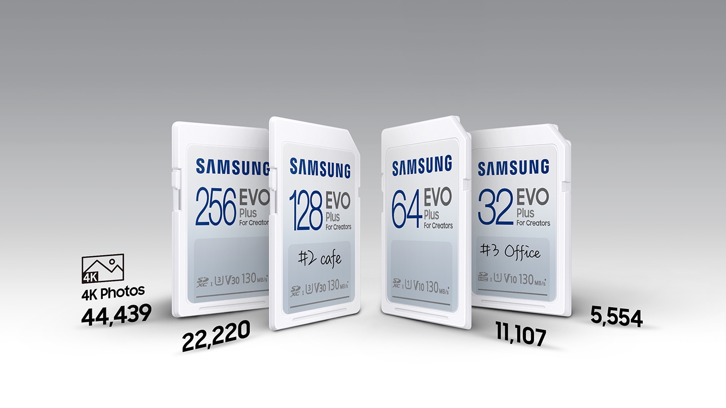 EVO Plus Full-Size SDXC Card 128GB Memory & Storage - MB-SC128K/AM