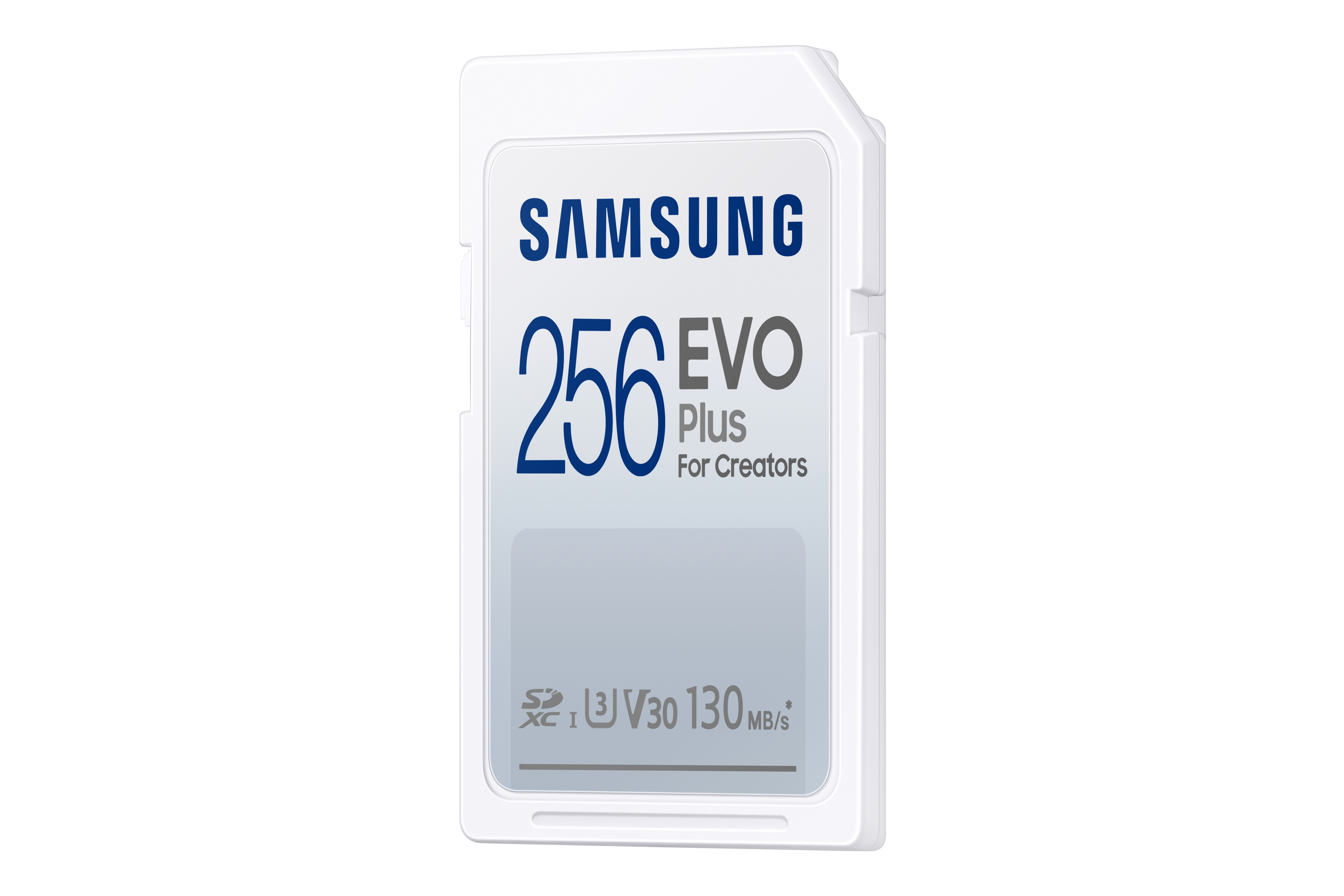 Carte SD Samsung Evo Plus 256Go - Kamera Express