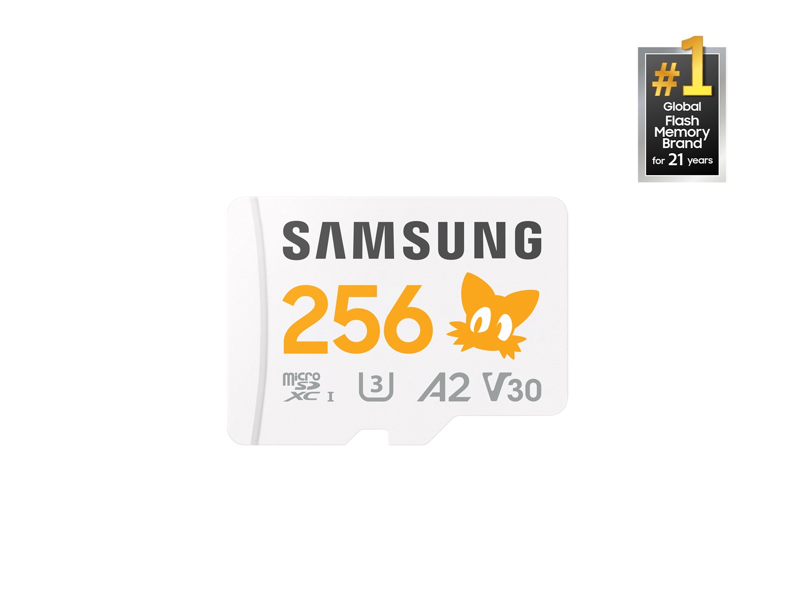 SamsungUS/home/computing/memory-storage/memory-cards/01102025/front_256_1600_1200.jpg