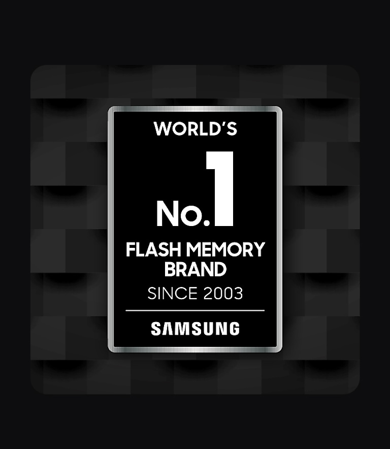 World's #1 Flash Memory Brand