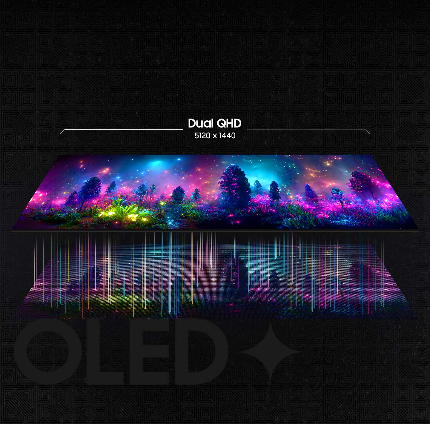 Detailed OLED worlds live on a wide, vibrant screen