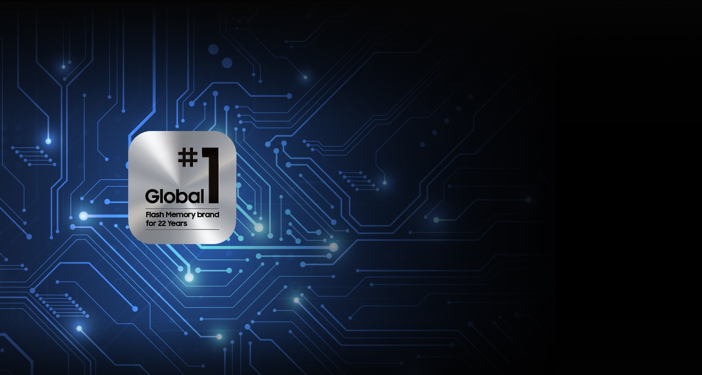 World's No. 1 Flash Memory Brand