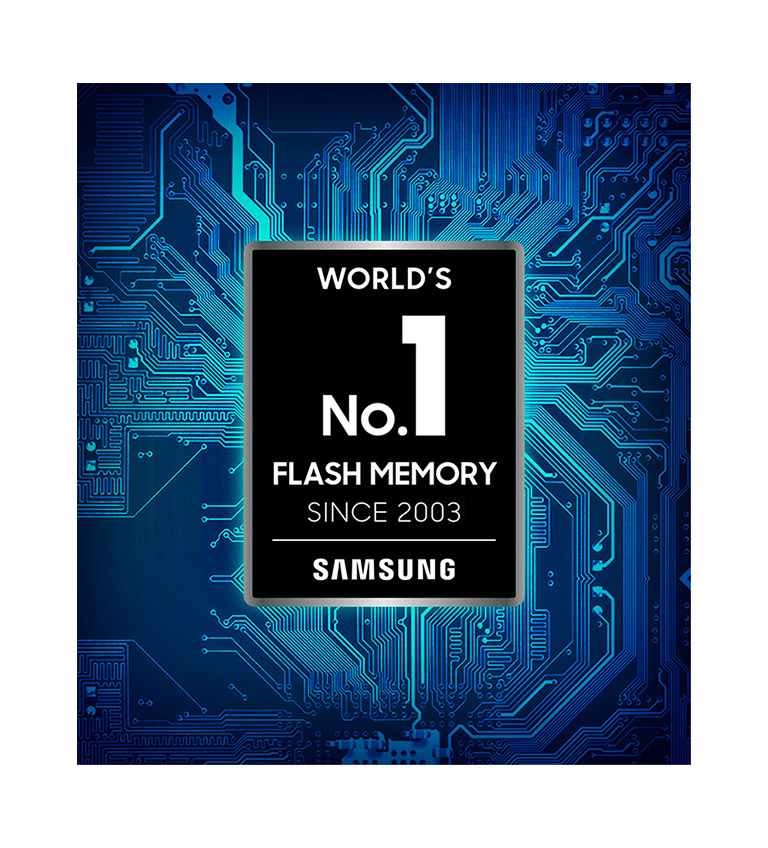 World's No.1 Flash Memory Brand