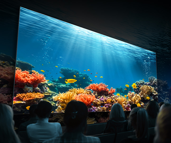 Elevate the senses with perfect color precision