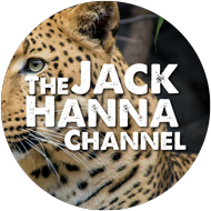 The Jack Hanna Channel 1408