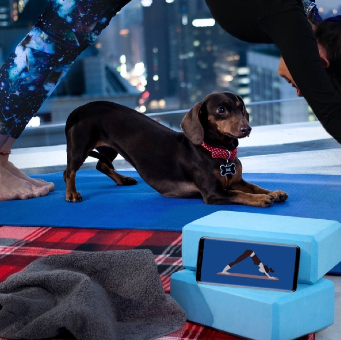 Image of woman practicing downward dog with yoga video