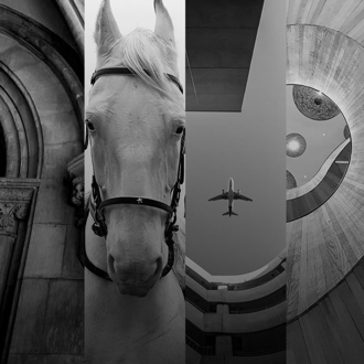 Photos from the Field