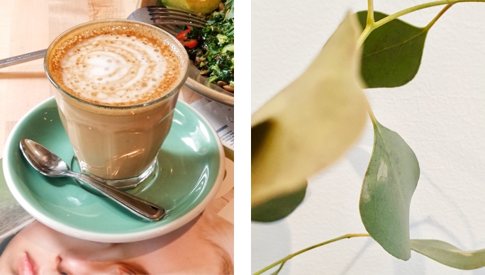Food photography shot of latte art, macro shot of plant leaves