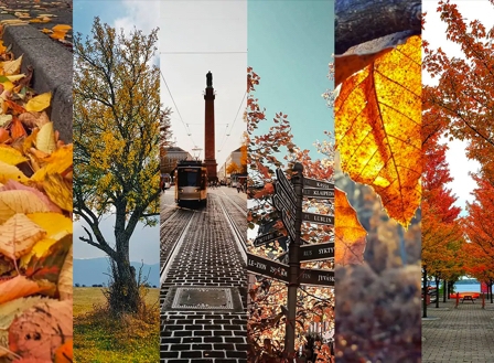 Colorful autumn foliage shots captured #withGalaxy