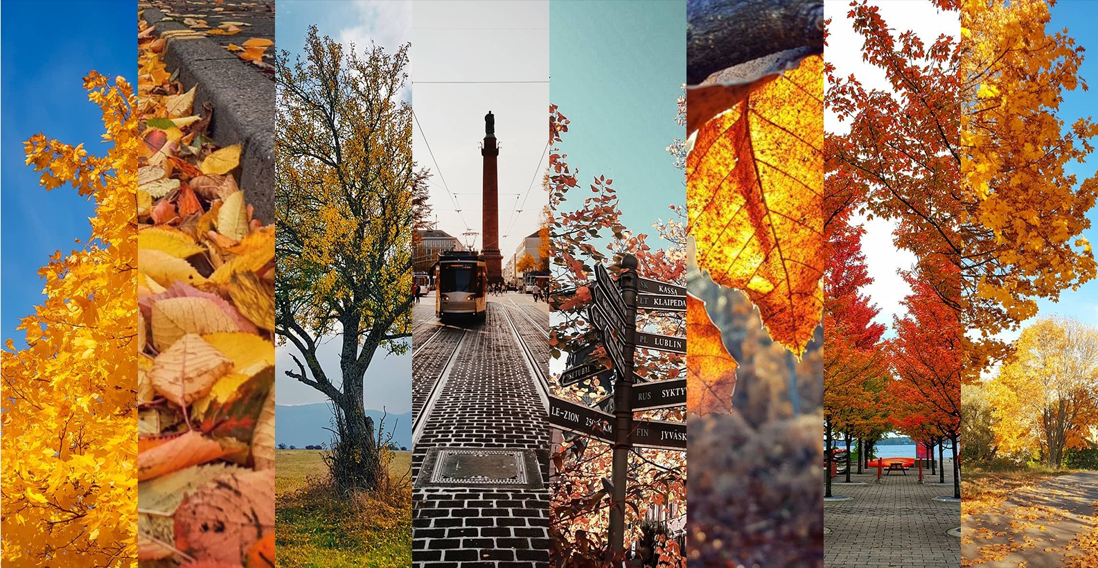 Image result for samsung fall images