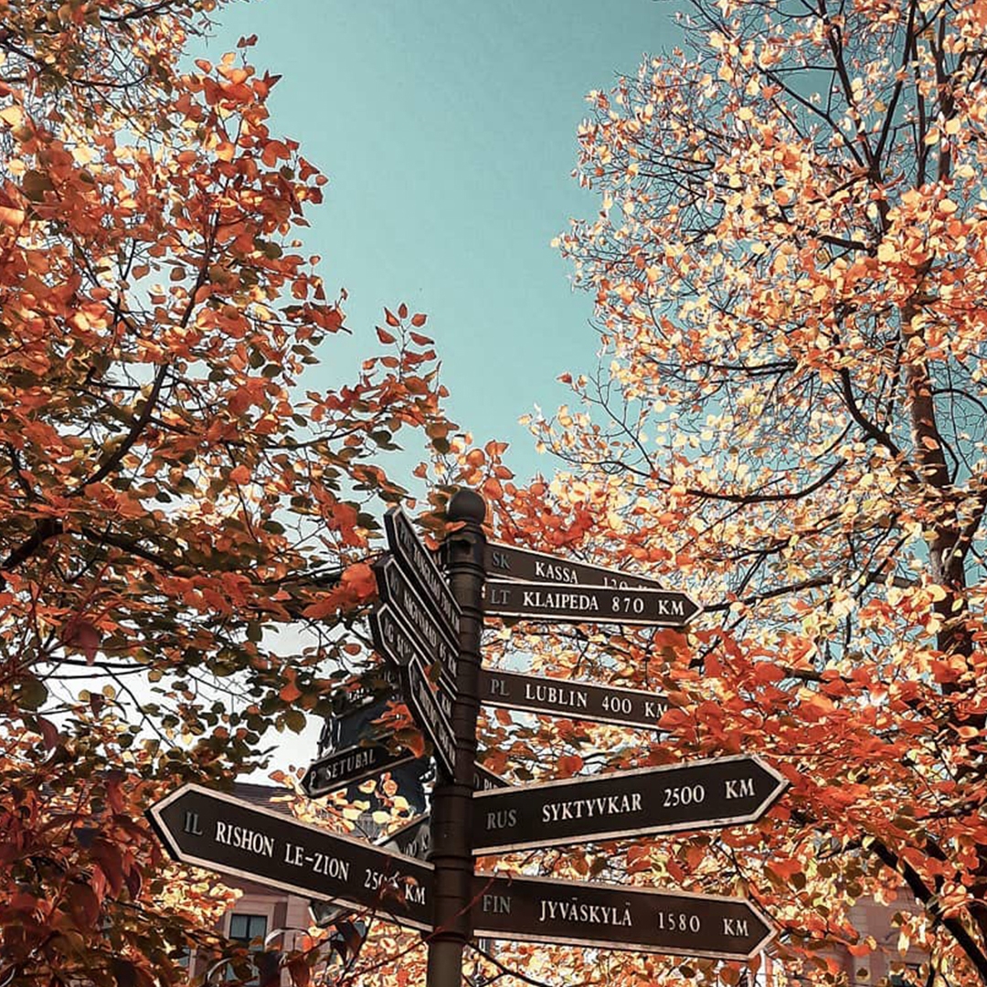 Multidirectional street sign in front of trees.