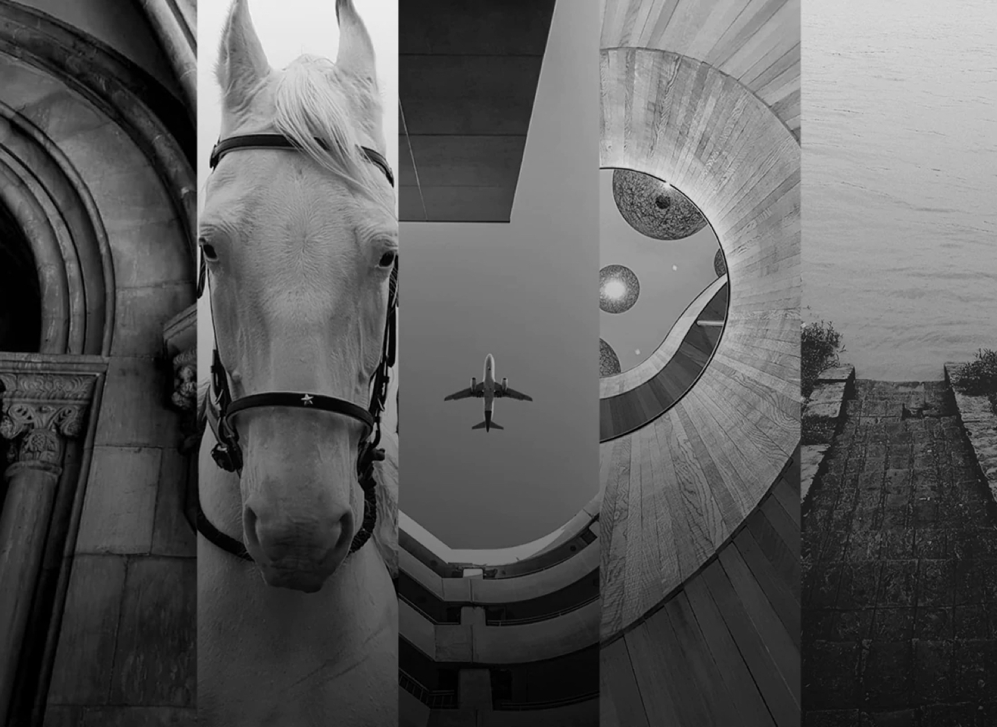 Black and white nature, landscape and wildlife photography shots captured #withGalaxy