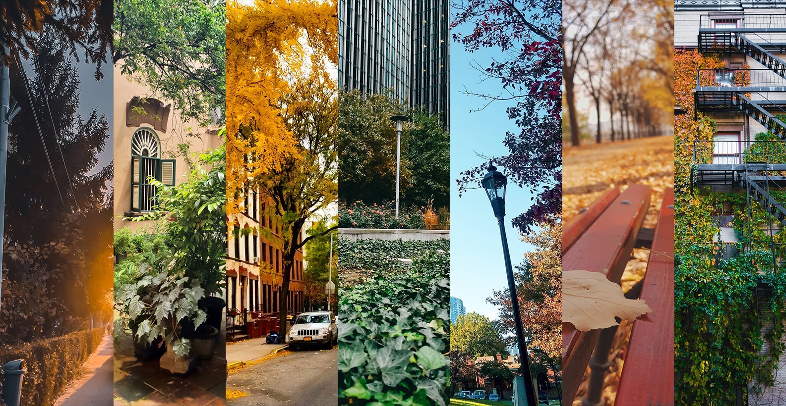 Urban garden compilation