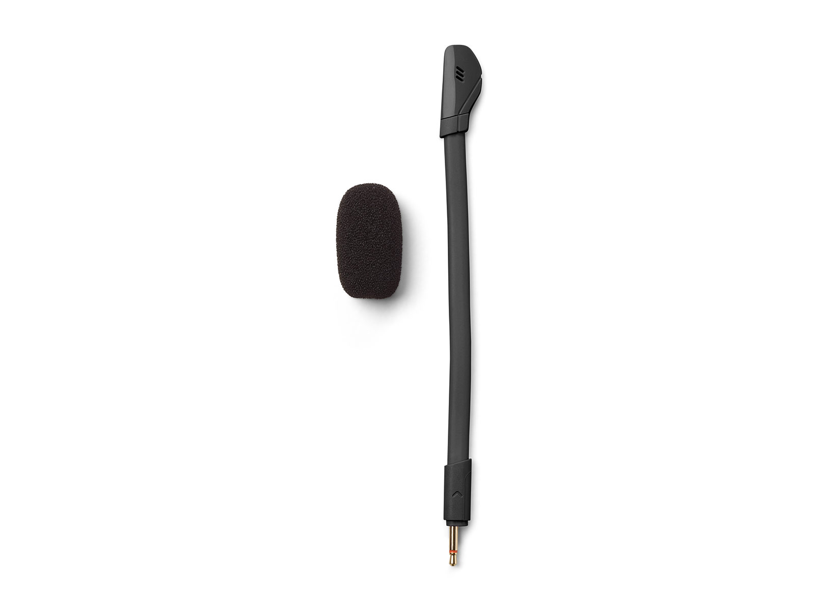 SamsungUS/home/harman-kardon/jbl-harman-kardon/portable-speakers/pdp/jbl-test/jblqtum100m2blkam/SDSAC-9198-JBLQTUM100M2BLK_008_Accessories_Black-1600x1200.jpg