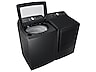 Thumbnail image of 7.4 cu. ft. Capacity Electric Dryer with Sensor Dry in Brushed Black
