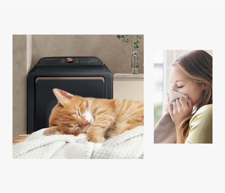 Powerful drying for pet parents