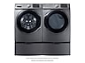 Thumbnail image of 7.5 cu. ft. Electric Dryer in Platinum