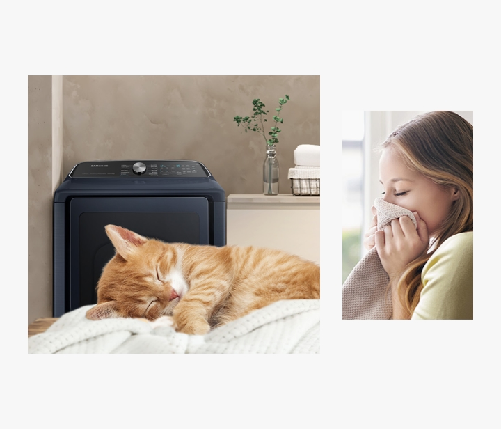 Powerful drying for pet parents