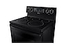 Thumbnail image of 5.9 cu. ft. Freestanding Electric Range with Convection in Black