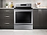 Thumbnail image of 5.9 cu. ft. Electric Range with True Convection and Soft Close Door