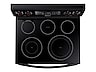 Thumbnail image of 5.9 cu. ft. Freestanding Electric Range with Convection in Black