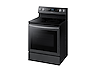 Thumbnail image of 5.9 cu. ft. Freestanding Electric Range with True Convection in Black Stainless Steel