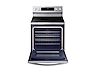 Thumbnail image of 5.9 cu. ft. Freestanding Electric Range with True Convection in Stainless Steel