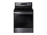 Thumbnail image of 5.9 cu. ft. Freestanding Electric Range with Convection in Black Stainless Steel