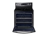 Thumbnail image of 5.9 cu. ft. Freestanding Electric Range with Convection in Black Stainless Steel