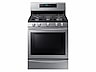 Thumbnail image of 5.8 cu. ft. Gas Range with True Convection in Stainless Steel