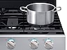 Thumbnail image of 5.8 cu. ft. Freestanding Gas Range with True Convection in Stainless Steel