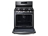 Thumbnail image of 5.8 cu. ft. Freestanding Gas Range with Convection in Black Stainless Steel