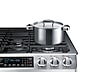 Thumbnail image of 5.8 cu. ft. Slide-in Gas Range with Convection in Stainless Steel