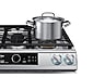 Thumbnail image of 6.0 cu ft. Smart Slide-in Gas Range with Flex Duo&trade;, Smart Dial &amp; Air Fry in Stainless Steel
