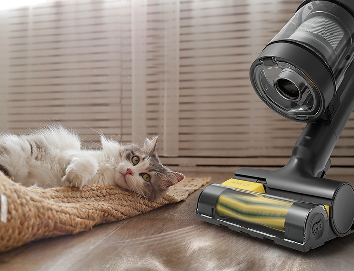Cordless vacuum with Pet Tool+ being used to showcase pet hair vacuum