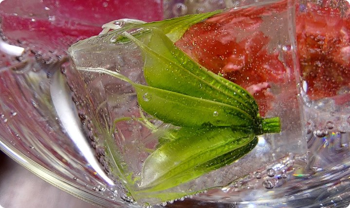 Macro lens leaves no detail behind