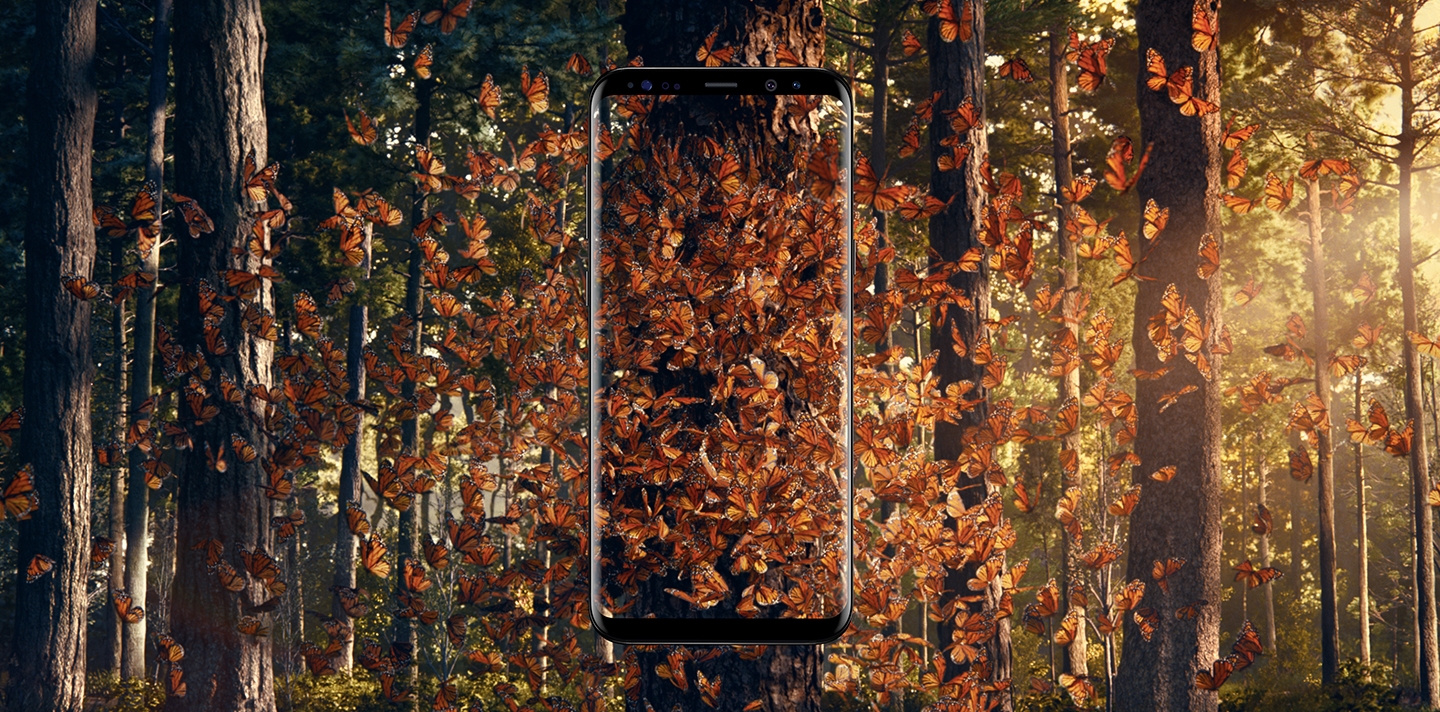 Galaxy S8 64GB (Unlocked) Phones - SM-G950UZKAXAA