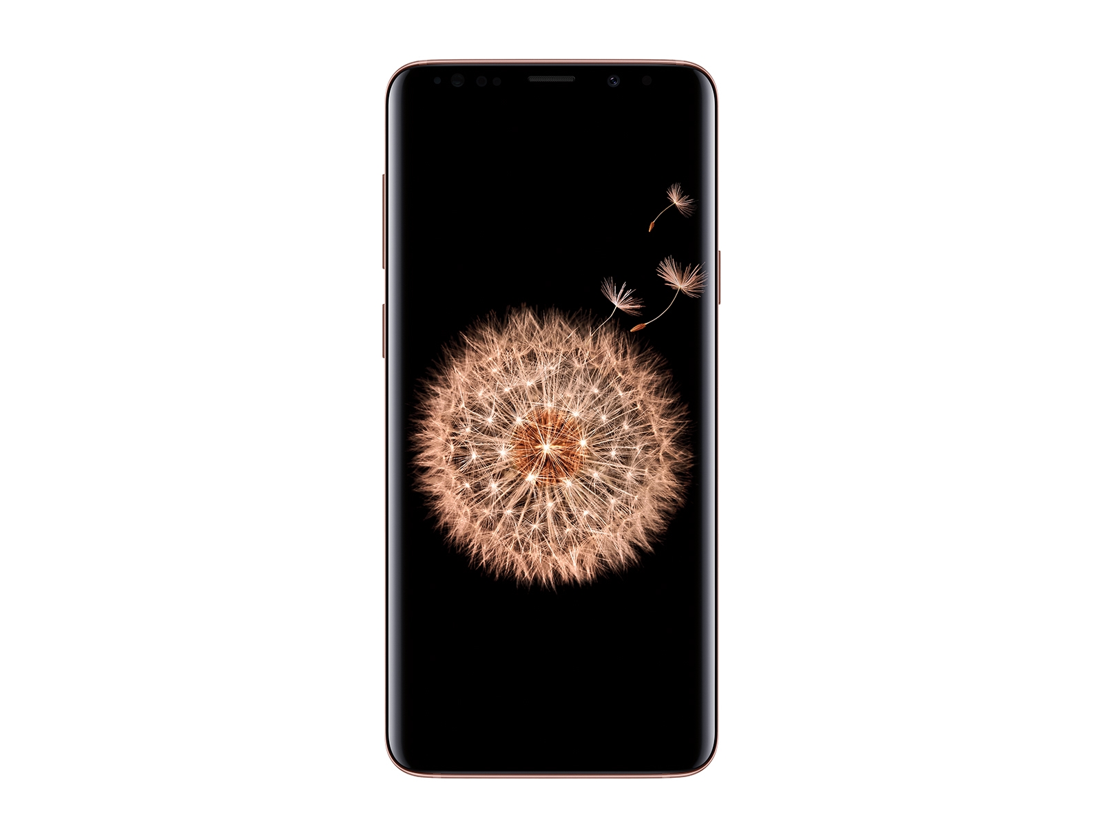 Samsung Galaxy S9 Plus deep dive review: Best of the best