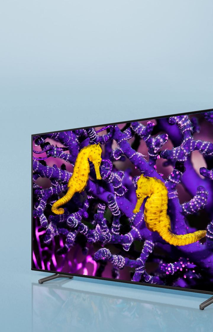 A crowd-pleasing TV with rich details​